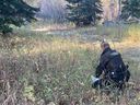 Le BC Conservation Officer Service enquête après que trois personnes ont été blessées lors d'une attaque d'ours noir près de Dawson Creek le 3 octobre 2022. 