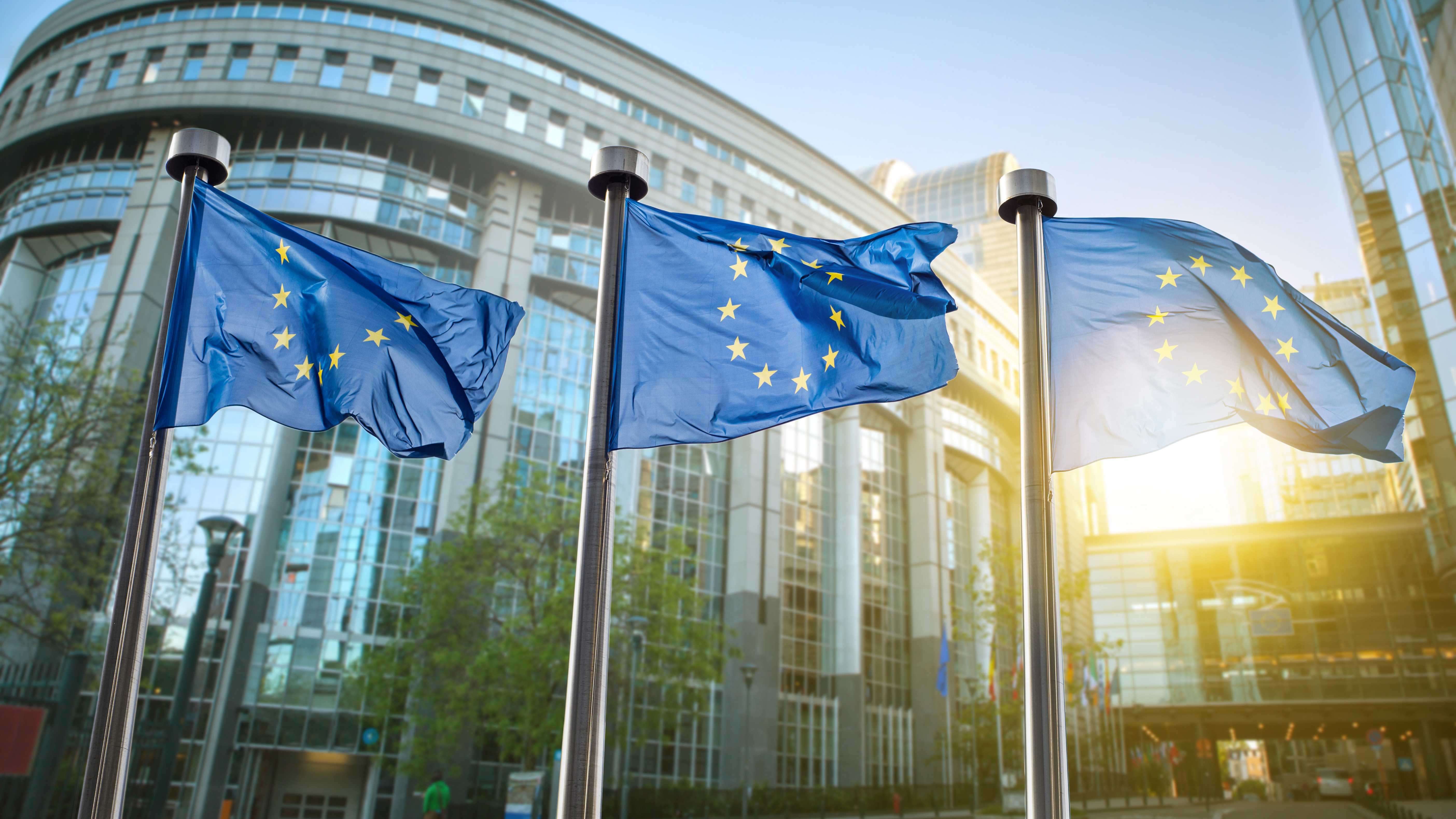 Drapeaux de l'Union européenne à l'extérieur d'un immeuble de bureaux en Europe