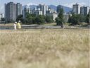 Après plus d'un mois de précipitations et de températures élevées, de nombreuses régions de Vancouver et de la province s'assèchent - comme ici avec l'herbe jaunie dans le parc Vanier de Vancouver le 10 juillet 2021.