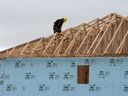 Un travailleur de la construction travaille sur une maison dans un nouveau lotissement à Oakville, en Ontario.