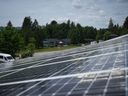 Un réseau de panneaux solaires L'Alberta s'est engagée à atteindre zéro émission nette de gaz à effet de serre d'ici 2050.