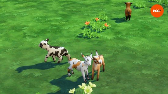 Un groupe de quatre chèvres, chacune avec des couleurs et des motifs différents, se tient dans un champ herbeux avec des fleurs