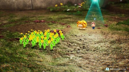 Excursions Pikmin 4 nuits