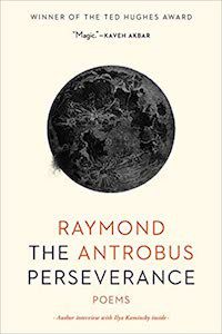 Un graphisme de la couverture de The Perseverance de Raymond Antrobus