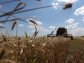 Une moissonneuse-batteuse récolte du blé dans un champ près du village de Novosofiivka, dans la région de Mykolaïv, en Ukraine, le 4 juillet 2023.
