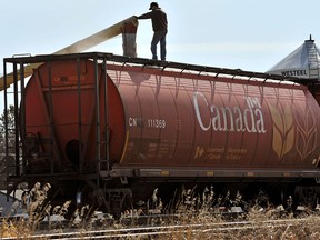 Un agriculteur charge du blé dans un wagon en Alberta.  Le Canada a affiché un déficit commercial de 3,4 milliards de dollars en mai, les exportations de pétrole brut et de blé ayant le plus diminué.