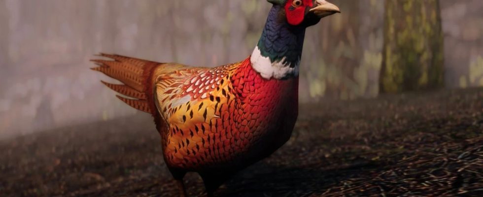 A pheasant from MihailMods