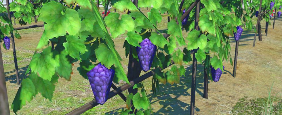 Les raisins Low-Poly de FFXIV Endwalker ont été immortalisés dans la marchandise physique