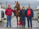 Le propriétaire Glen Todd, à droite, l'entraîneur Troy Taylor, à gauche, et le palefrenier Stephanie Golz avec le cheval de quatre ans Success Rate à l'hippodrome de Hastings à Vancouver le 20 avril 2014.