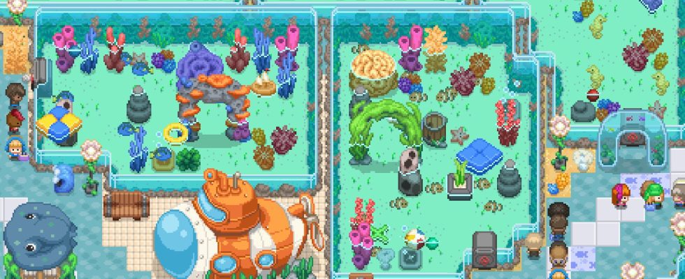 Construisons un zoo : Aquarium Odyssey arrive sur Xbox, PlayStation, Switch et PC