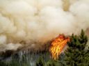 Les flammes du feu de forêt de Donnie Creek brûlent le long d'une crête au nord de Fort St. John, en Colombie-Britannique.