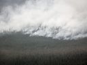 Un incendie de forêt brûle au sud d'Enterprise, dans les Territoires du Nord-Ouest, le jeudi 17 août 2023.