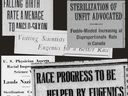 Une sélection de titres pro-eugénistes publiés dans les journaux canadiens entre les années 1910 et 1938. 