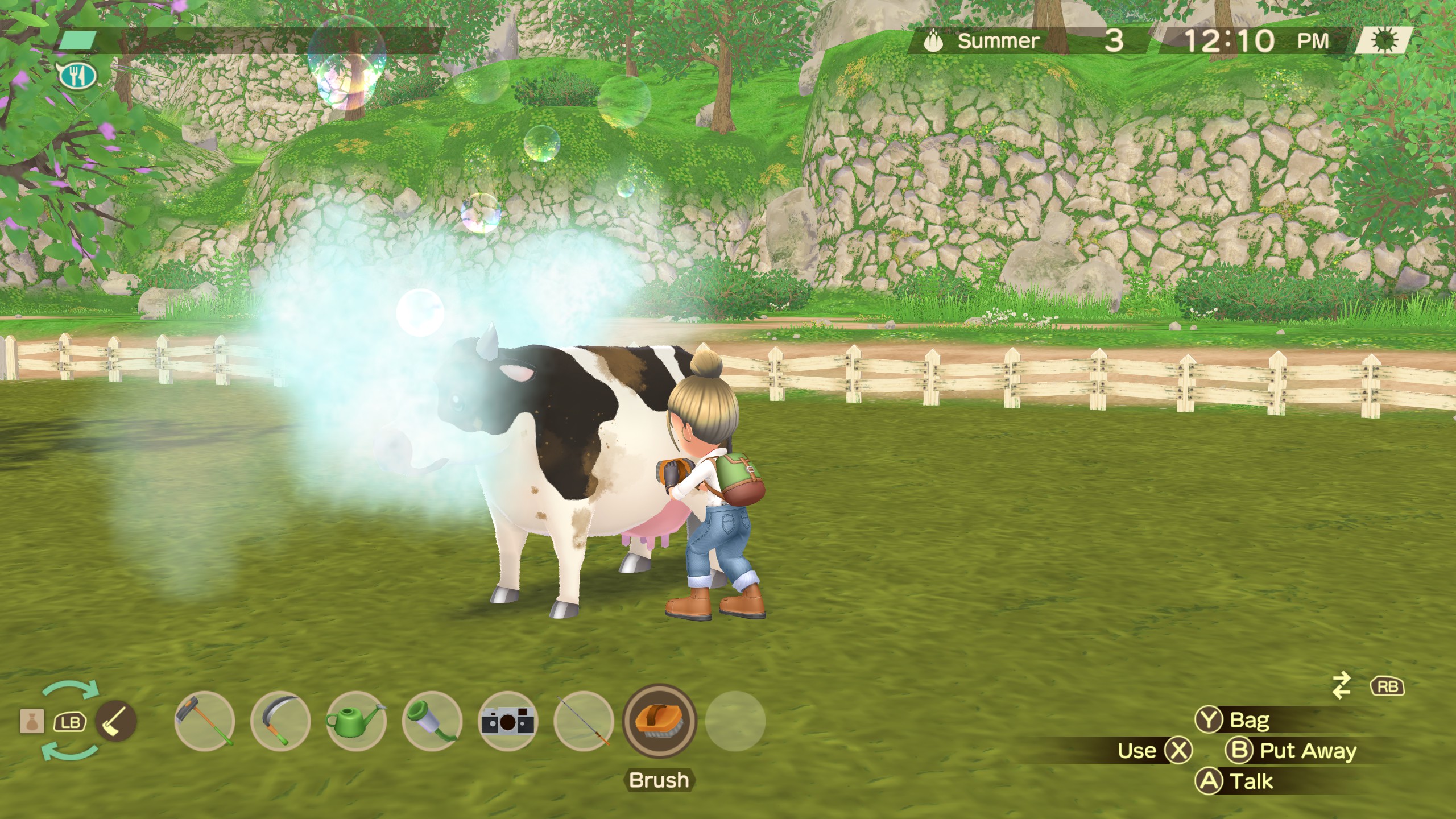 Story of Seasons : A Wonderful Life - un joueur brosse sa vache alors qu'il se tient dans le pâturage