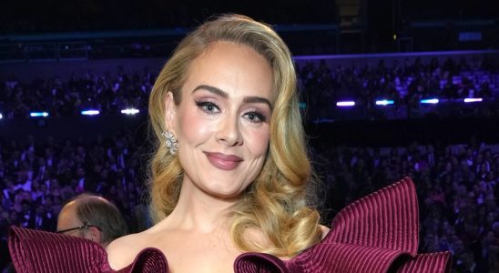 Adele arrête un spectacle à Las Vegas pour réprimander la sécurité pour avoir « dérangé » un fan : « Laissez-le tranquille »