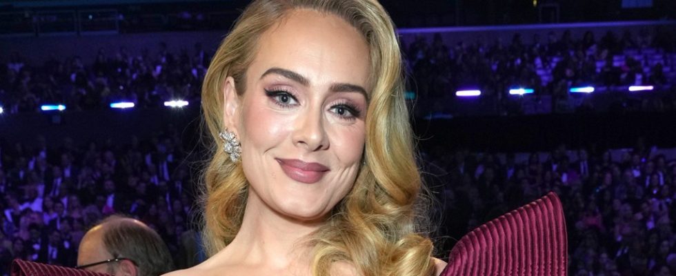 Adele arrête un spectacle à Las Vegas pour réprimander la sécurité pour avoir « dérangé » un fan : « Laissez-le tranquille »