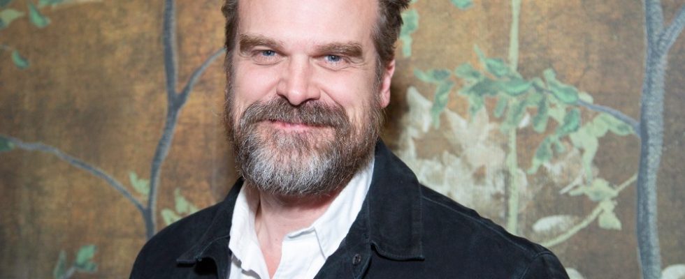 NEW YORK, NEW YORK - JUNE 08: David Harbour attends the 'Downtown Owl' Tribeca Festival Premiere After Party hosted by Casamigos at The Chelsea Hotel on June 08, 2023 in New York City. (Photo by Santiago Felipe/Getty Images)