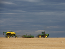 Un agriculteur prépare sa récolte pour la prochaine saison de croissance près de Strathmore, en Alberta, à l'est de Calgary en 2020. Cette année, les régions au sud et à l'est de Calgary sont les plus sèches au Canada.