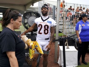 Le porteur de ballon des Bengals de Cincinnati Joe Mixon (28 ans) reste au frais devant un ventilateur brumisateur d'eau dans la section des ventilateurs lors du camp d'entraînement de l'équipe de football de la NFL le vendredi 28 juillet 2023 à Cincinnati.