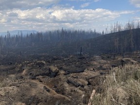 La zone autour de l'incendie de Bush Creek East, au nord-est de Kamloops, du côté ouest du lac Adams, est illustrée sur une photo à distribuer.