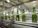 Bouteilles de bière de marque Heineken NV sur la chaîne de production d'une usine Kirin Brewery Co. à Yokohama, au Japon.