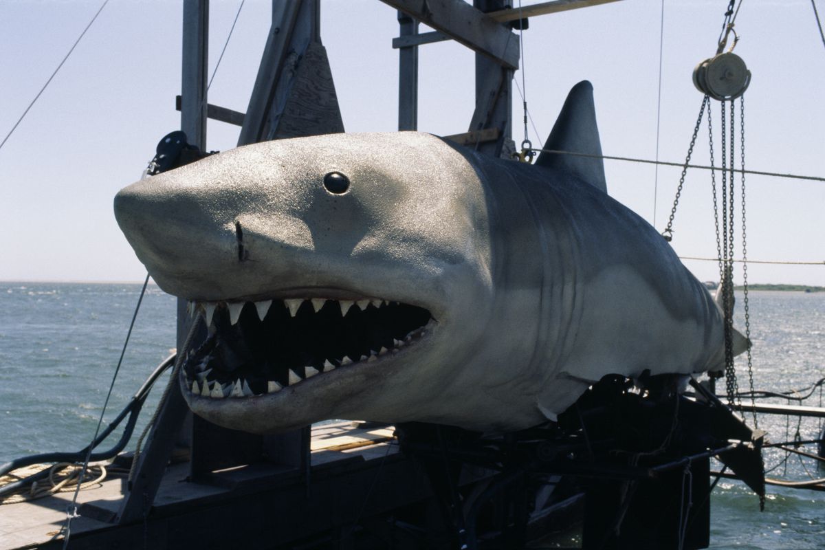 Le requin mécanique géant du film Jaws 2 de 1978 est suspendu, la bouche ouverte, à une série de cordes et de poulies sur un bateau sur une photo de presse.