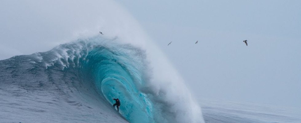 100 Foot Wave TV Show on HBO: canceled or renewed?