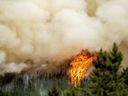 Les flammes de l'incendie de forêt de Donnie Creek brûlent le long d'une crête au nord de Fort St. John, en Colombie-Britannique, le dimanche 2 juillet 2023. 