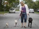 Mara Welch et ses trois chiens, Diego, à gauche, Penelope, au centre, et Bernard, dans les rues de Dorval.  Elle a protesté avec succès contre le projet de Dorval d'introduire une législation spécifique à la race (BSL).