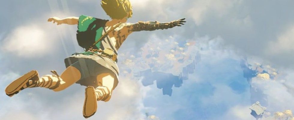 Aléatoire : Zelda : Tears Of The Kingdom Le joueur termine le jeu sans visiter la surface