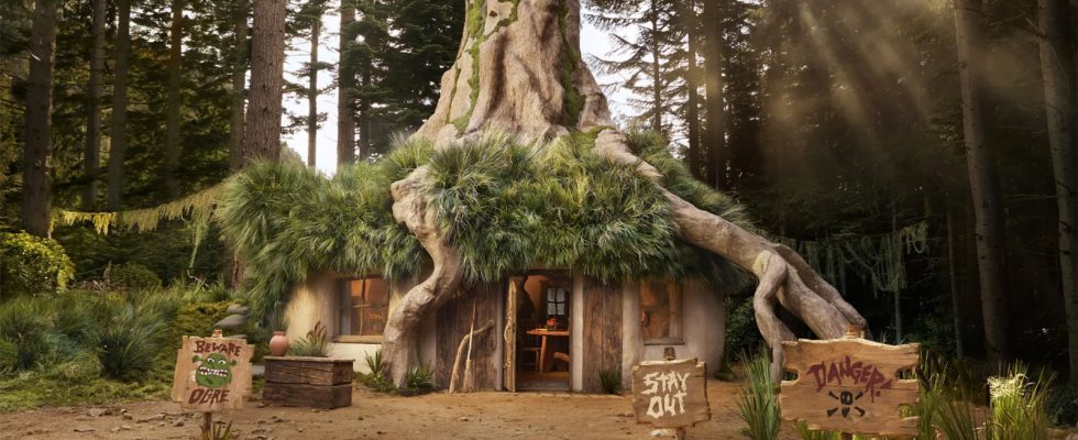 Trucs sympas : Donkey vous invite à séjourner dans un véritable Airbnb du marais de Shrek