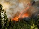 Les flammes de l'incendie de forêt de Donnie Creek brûlent le long d'une crête au nord de Fort St. John, en Colombie-Britannique, le dimanche 2 juillet 2023.