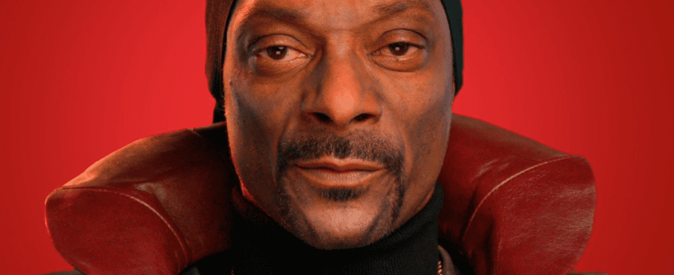 An image of Snoop Dogg as an AI chatbot named