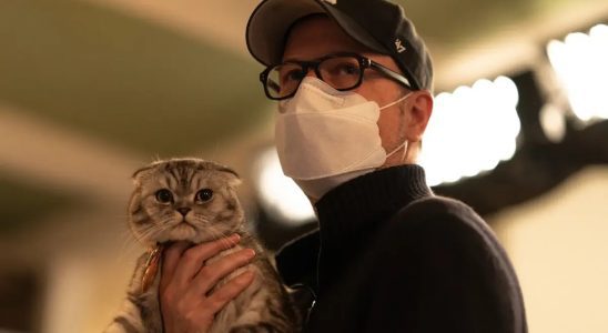 Le réalisateur d'Argylle, Matthew Vaughn, a licencié un chat professionnel et a utilisé le sien à la place