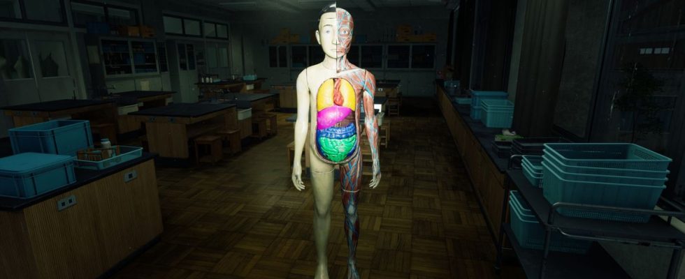 An anatomy mannequin in a darkened schoolroom