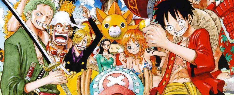 Commencez votre voyage manga One Piece avec ces offres massives sur les coffrets