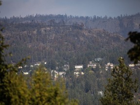 Des arbres brûlés sont vus au-dessus d'un quartier de West Kelowna, en Colombie-Britannique, lors d'une visite du premier ministre Justin Trudeau à West Kelowna, en Colombie-Britannique, le vendredi 25 août 2023.