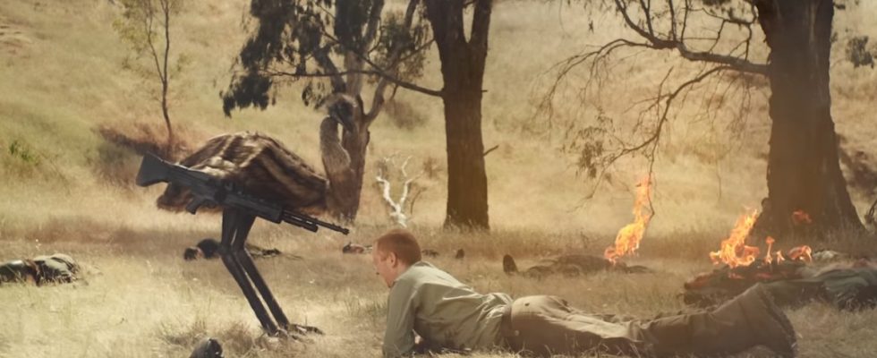 The Emu War movie trailer is the best kind of absurd. An emu aims a gun at a man laying prone on the ground.