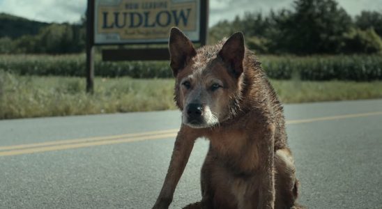 La bande-annonce de The Pet Sematary : Bloodlines vous ramène à l'histoire la plus effrayante de Stephen King