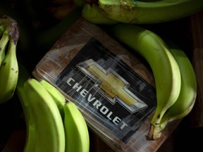 coaïne dans une expédition de bananes