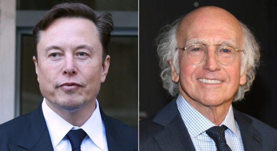 Elon Musk, Larry David