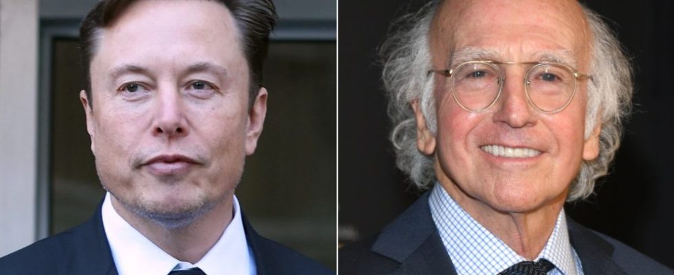 Elon Musk, Larry David