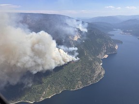 L’incendie de forêt du Lower East Adams Lake, dans la région de Shuswap, en Colombie-Britannique, est illustré sur une photo distribuée.  Les vents du week-end dans le centre de la Colombie-Britannique ont entraîné une augmentation des feux de forêt et des ordres d'évacuation ont été émis dans les régions éloignées au nord de Burns Lake.