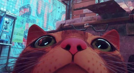 L'impressionnante aventure du jeu vidéo Kitty Cyberpunk Stray devient un film d'animation