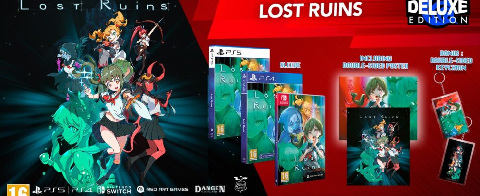 Lost Ruins obtient une sortie physique sur Switch