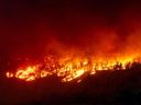 L'incendie de forêt de McDougall Creek brûle dans les collines de West Kelowna, en Colombie-Britannique 