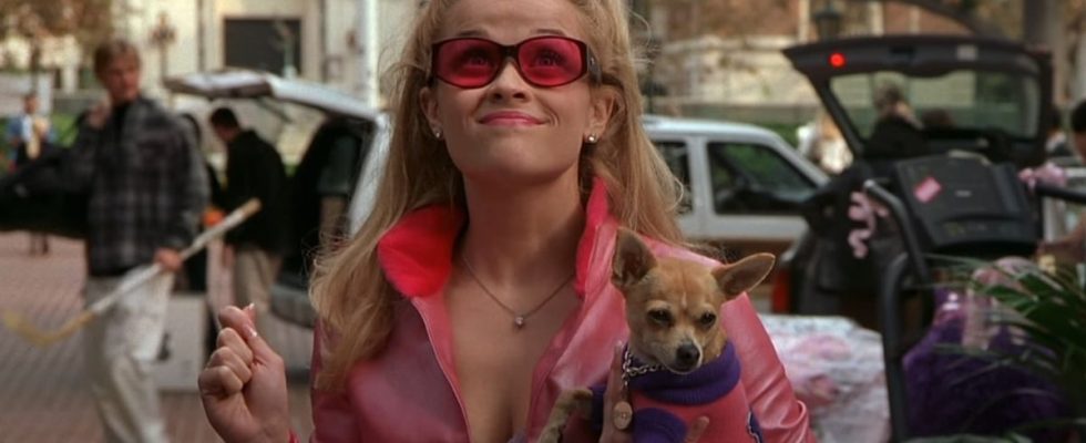 Reese Witherspoon as Elle Woods walking into Harvard in Legally Blonde