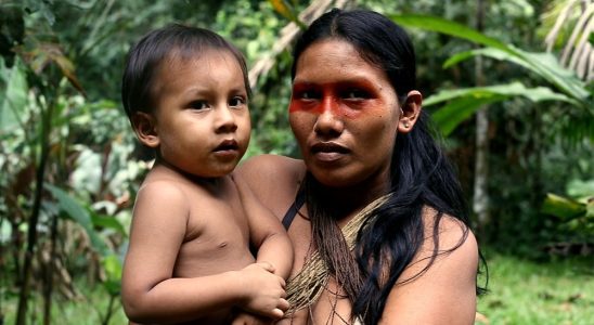 Waorani: Guardians of the Amazon