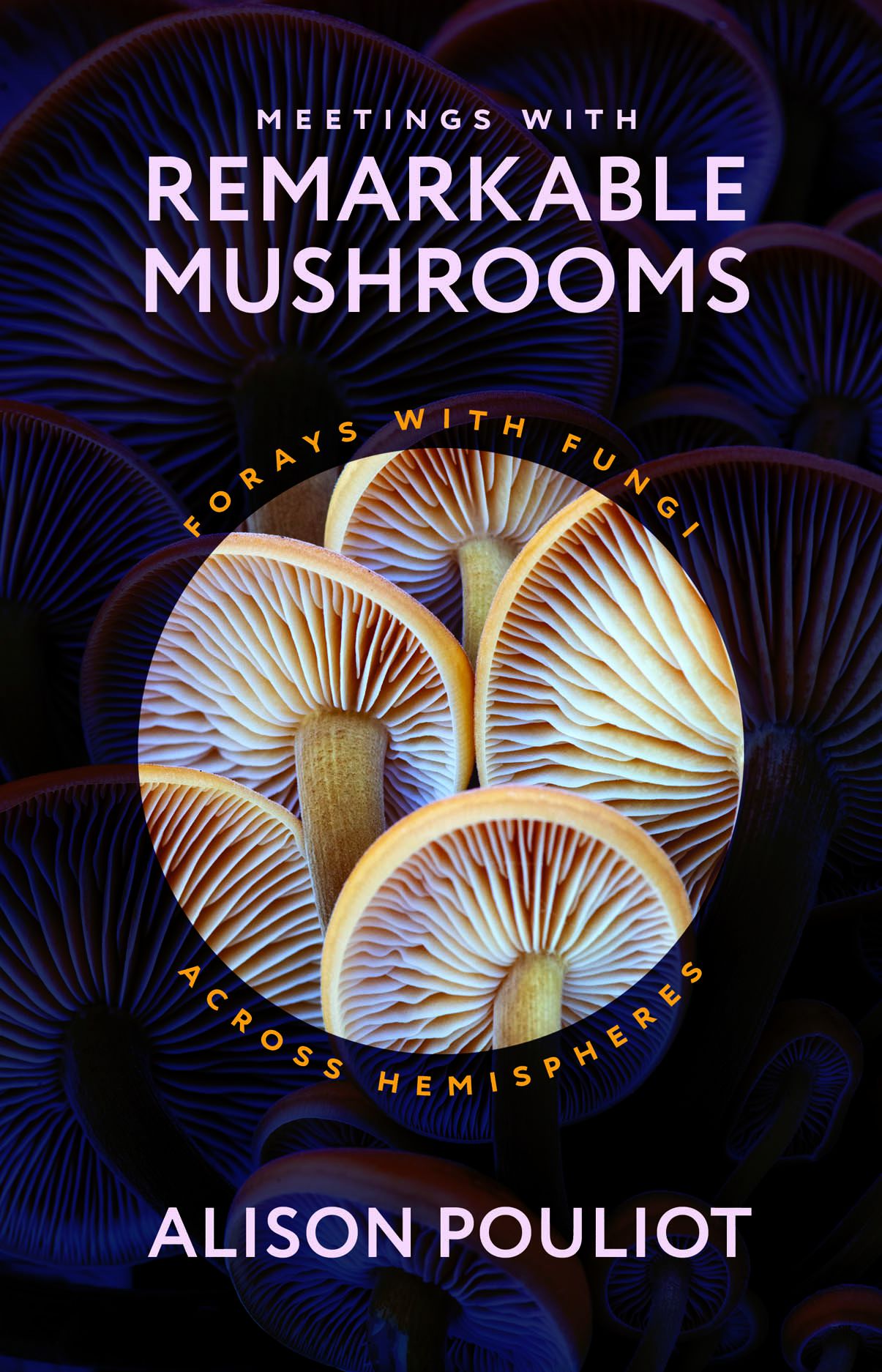 couverture de Rencontres avec des champignons remarquables