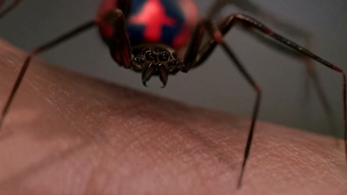   L'araignée Araneus Oscorpeus dans Spider-Man